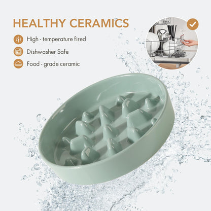 Havniva Ceramic Raised Slow Feeder Dog Bowl Set, Elevated Bowl