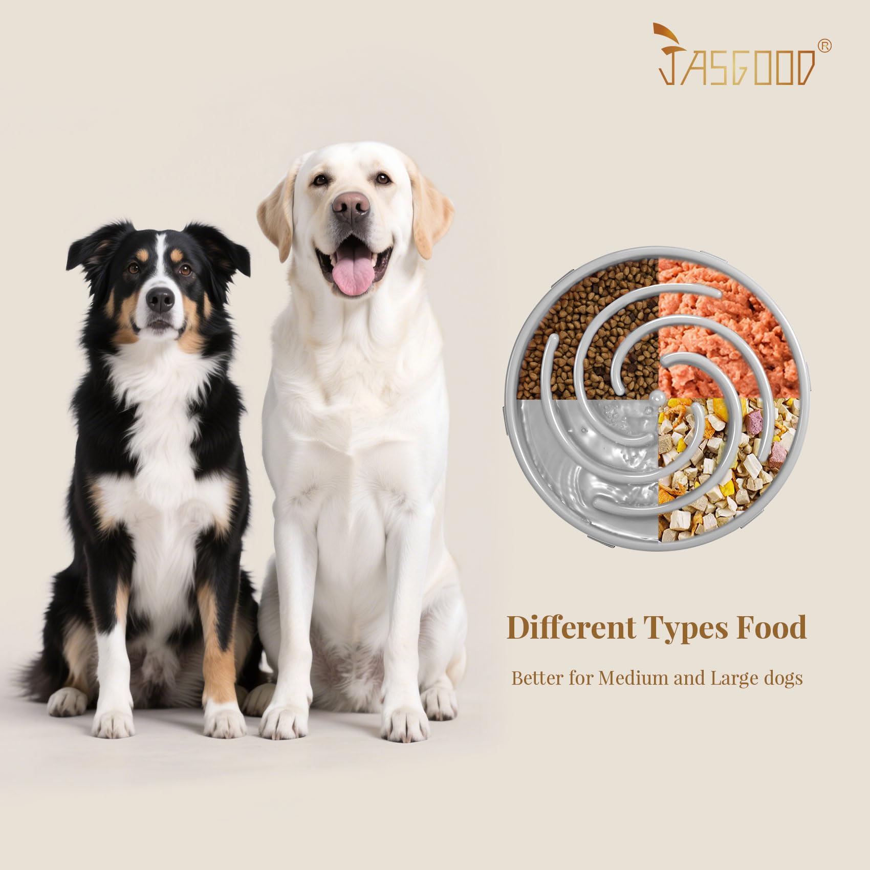 JASGOOD Slow Feeder Dog Bowl Anti-Gulping, Prevents Bloat Choking Bowl