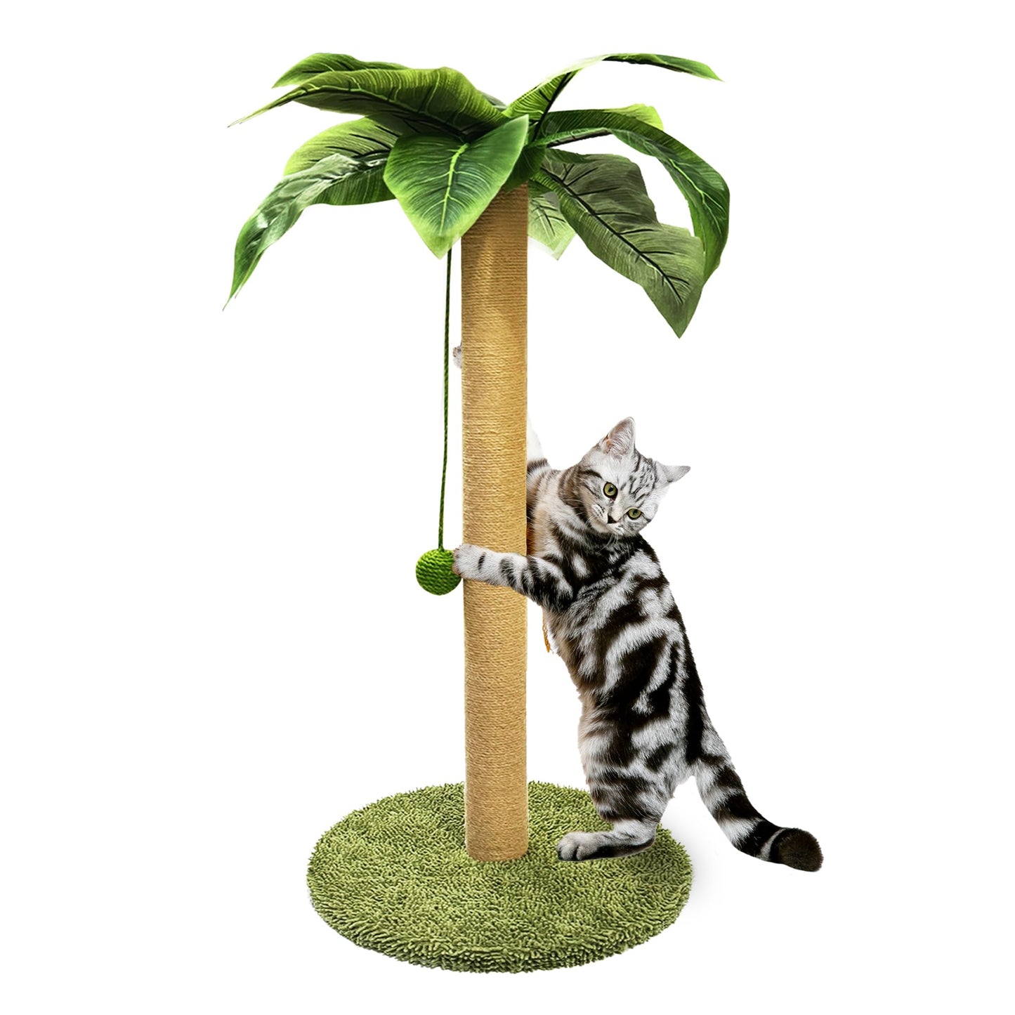 PETKARAY Cat Scratching Post, 36" Tall Palm Tree Cat Scratching Ball