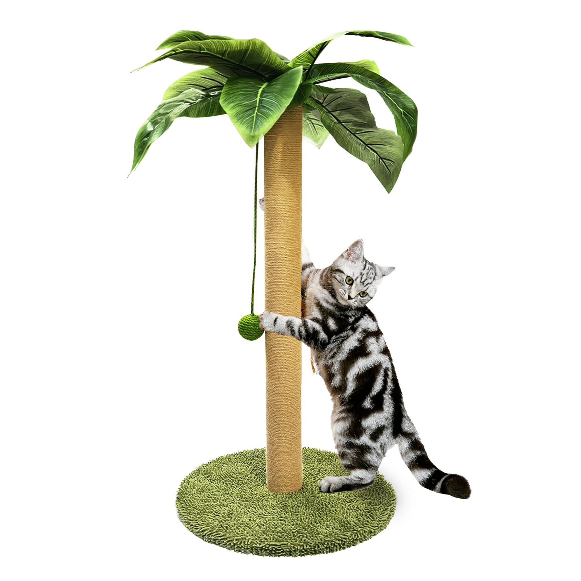 PETKARAY Cat Scratching Post, 36" Tall Palm Tree Cat Scratching Ball