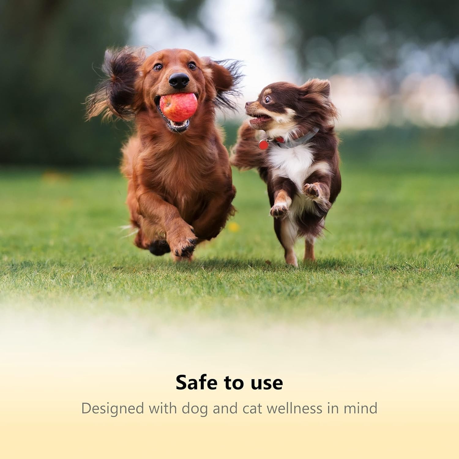 Thunderpaws Nail Clippers for Dogs Nail Trimmer with Safety Clipper