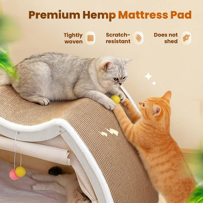 Cat Houses for Indoor Cats 4 Seasons Cat Bed Cave with Natural Bed
