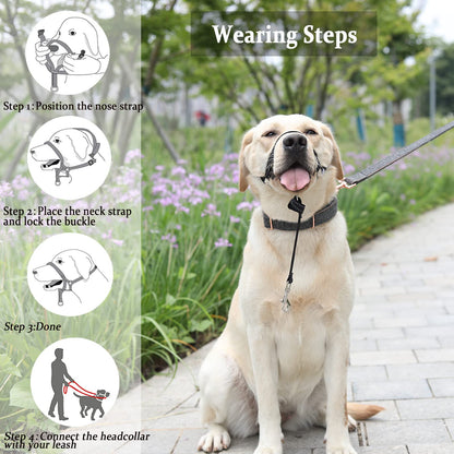 BARKLESS Dog Head Collar, No Pull Head Halter with Soft Padding Collar