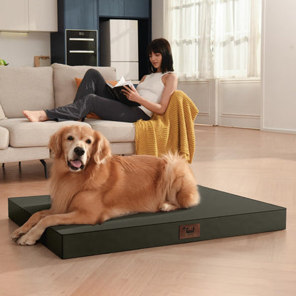 Tail Stories Outdoor All Weather Waterproof Dog Bed, Orthopedic Bed