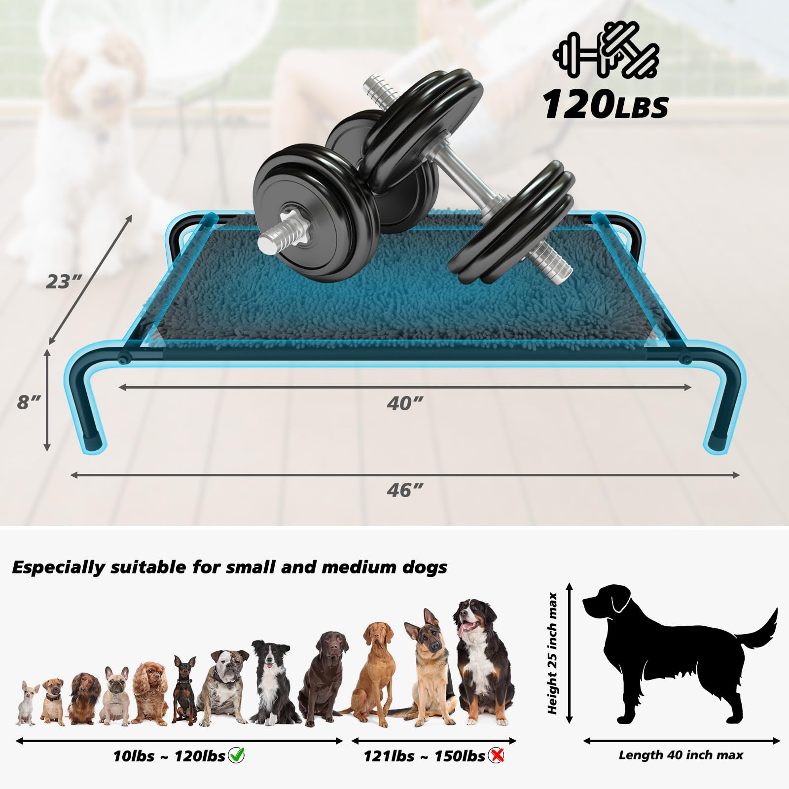 Rundik Elevated Dog Bed with Snuffle Mat Feature 1, Raised Dog Game