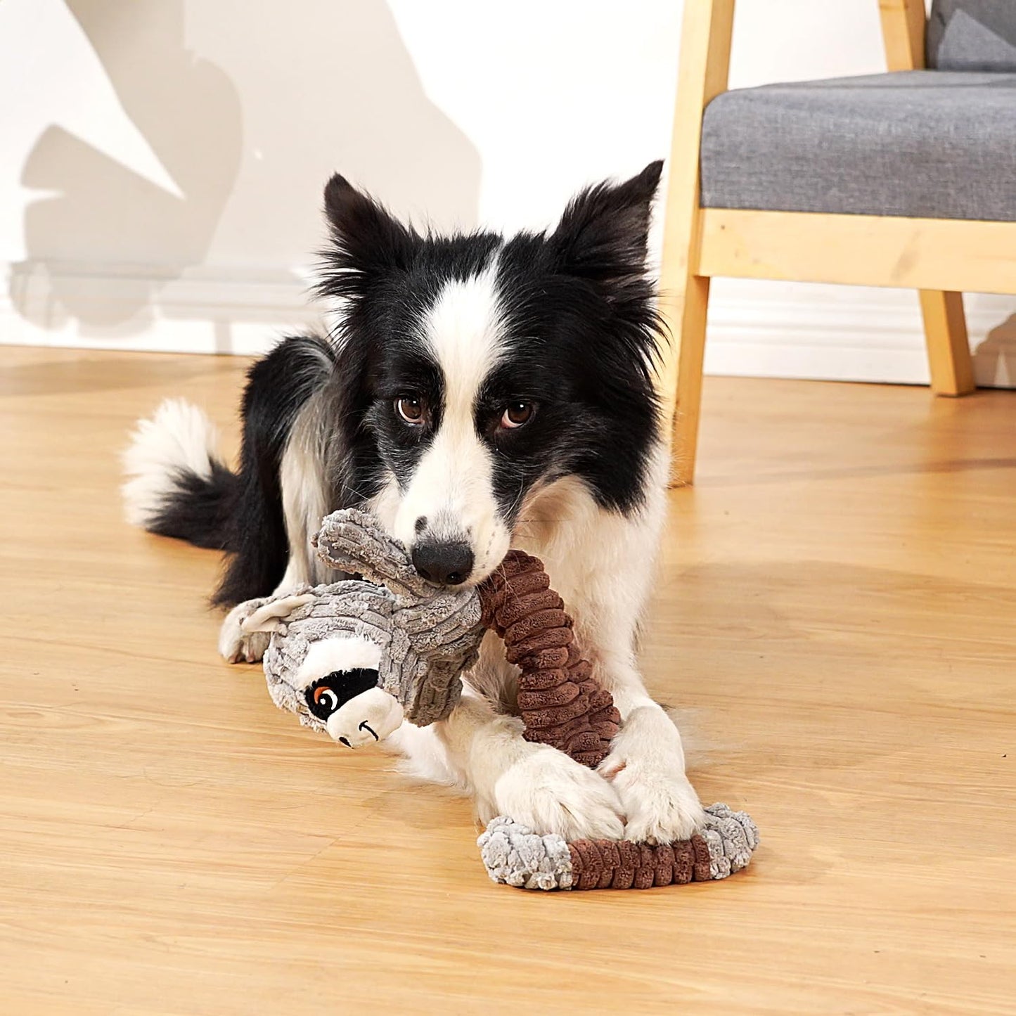 Sedioso Tug of War Dog Toy, Durable Large Breed Dog Toy, Though Toy