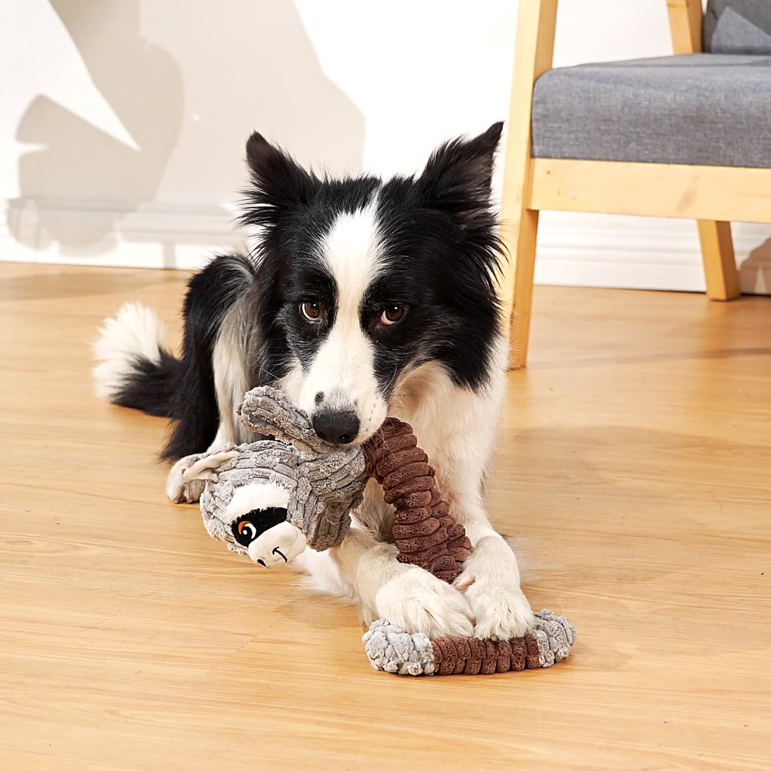 Sedioso Tug of War Dog Toy, Durable Large Breed Dog Toy, Though Toy