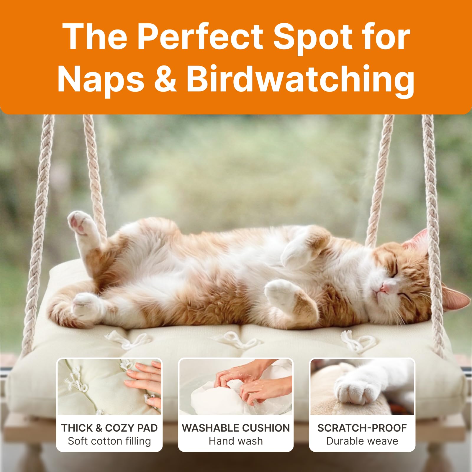 Cat Window Perch with Industrial-Grade Suction Cups Solid Pine Bed