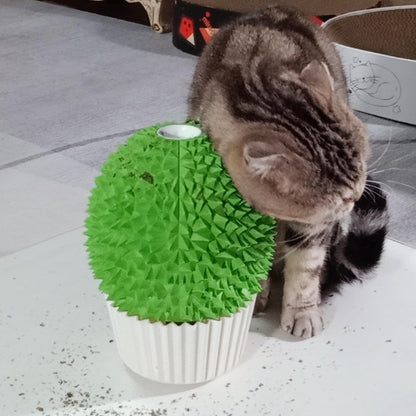 Miwoowim Catnip Feeder Cat Face Scratcher Wall Corner Scratcher