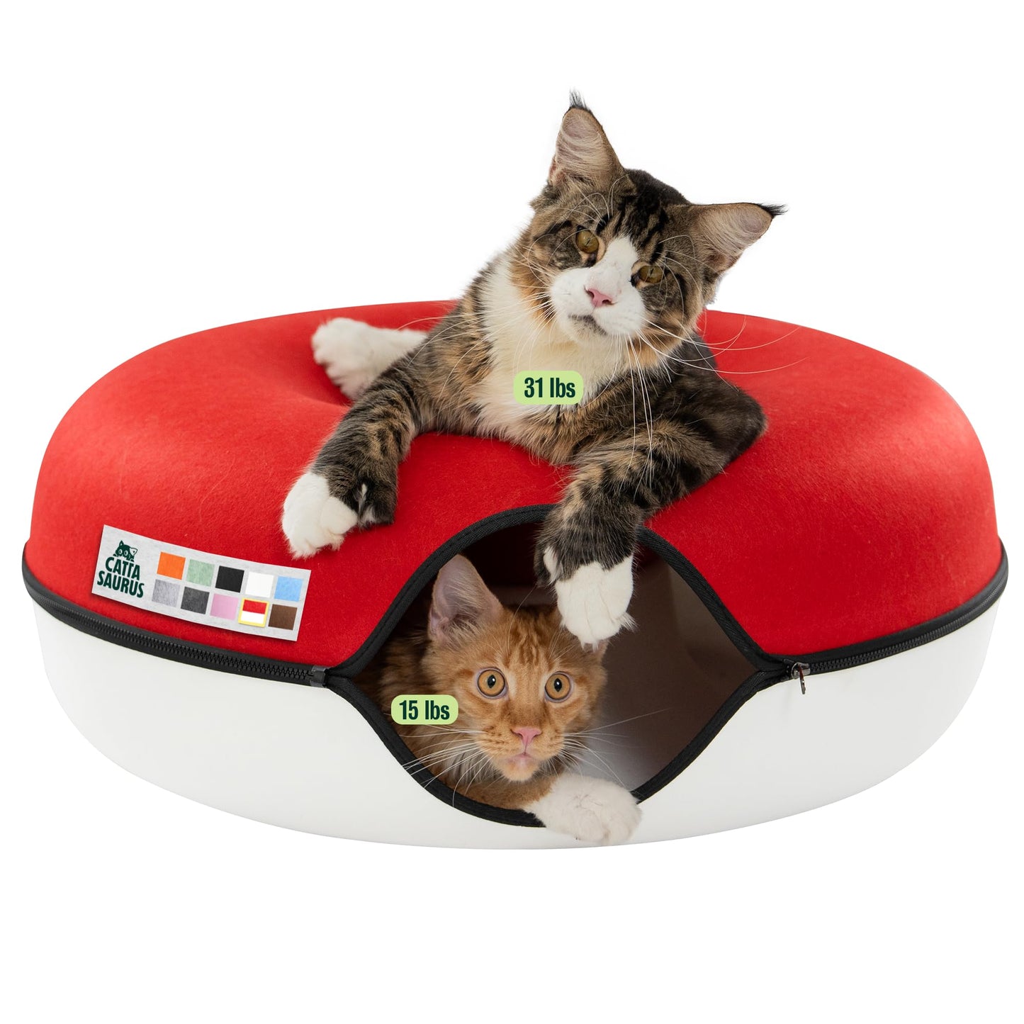 Cattasaurus Peekaboo Cat Cave, Extra Spacious for Multiple Bed