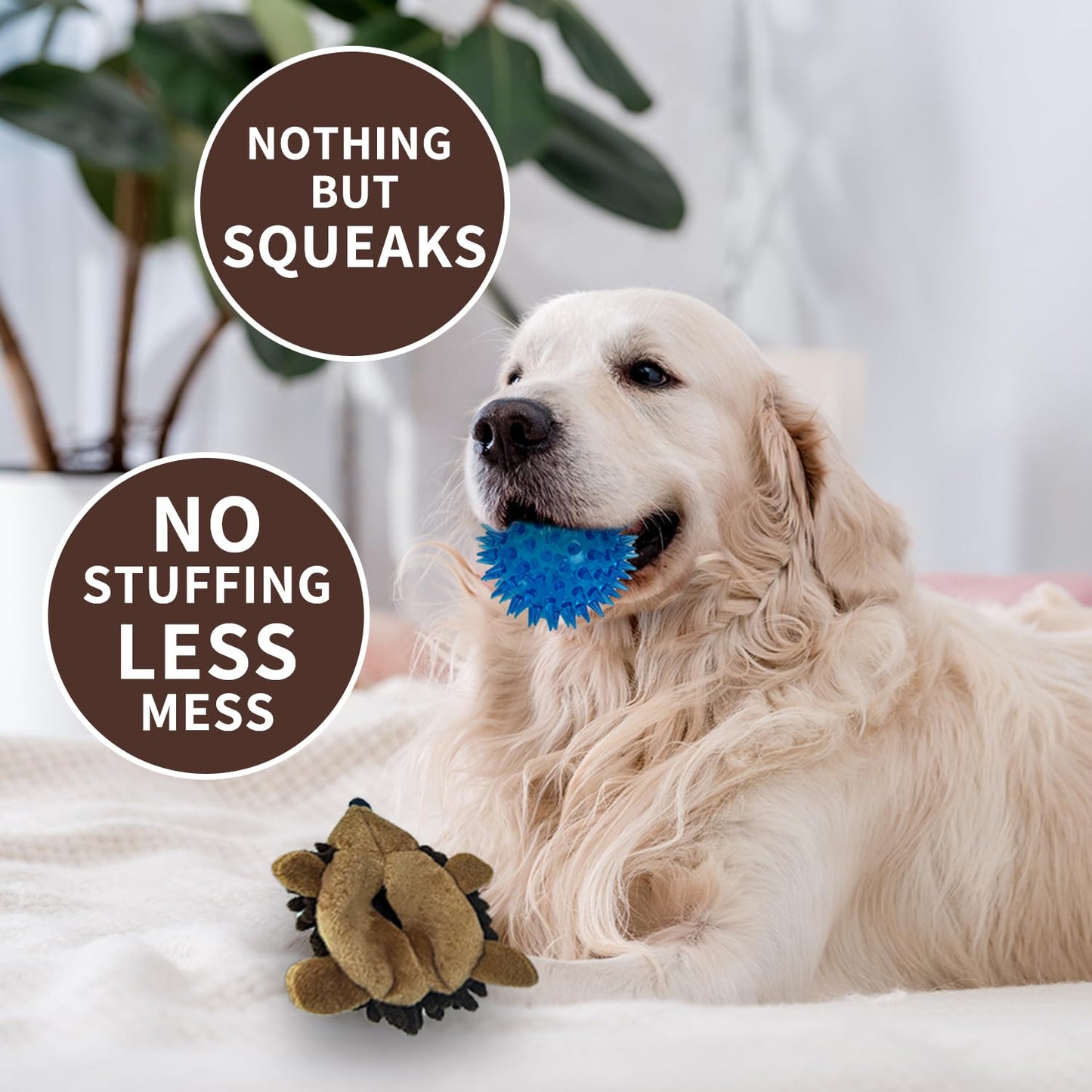 Chongqile Plush Hedgehog Dog Toys 3 PCS Squeaky No-Stuffing Plush