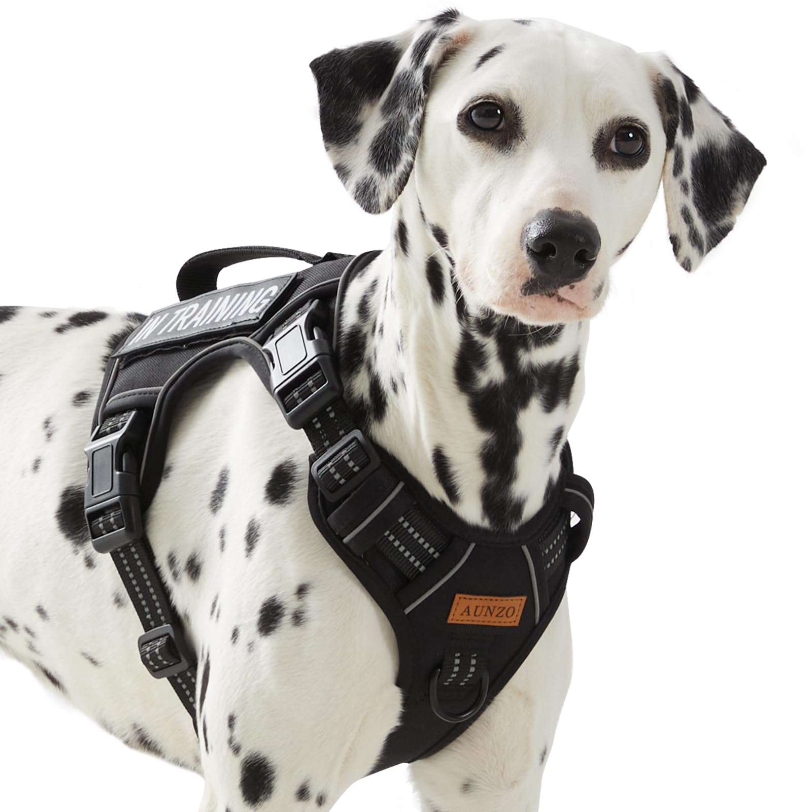 Tactical Dog Harness Medium Sized Dog, No Pull Pet Harness, Clip