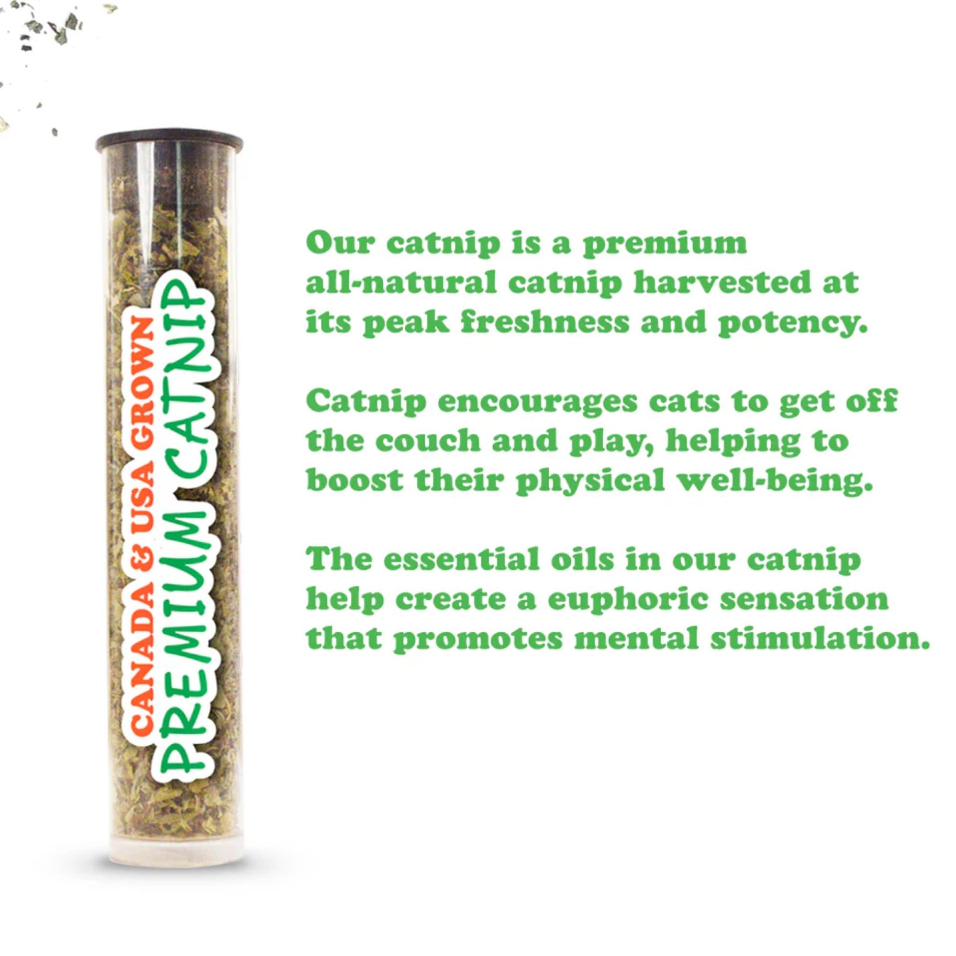 Meowijuana Get Spooked Bundle, Pumpkin Refillable Toy and Catnip
