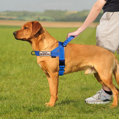 Annchwool No Pull Dog Harness with Soft Padded Harness