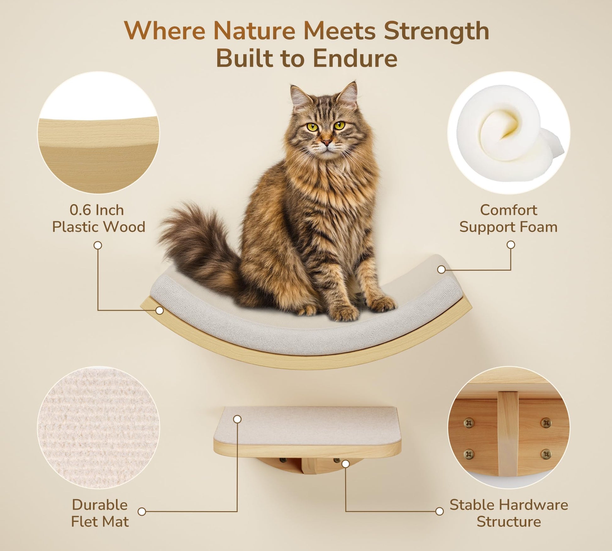 Cat Wall Shelf with Curved Hammock Bed, Wall Mounted Cat Perch Bed