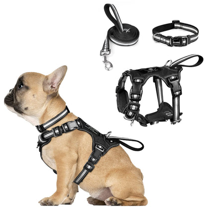 WINSEE Pet Harness Collar and Leash Set, Reflective Dog Harness Collar