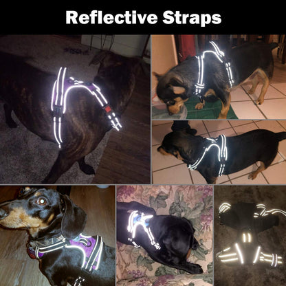 PHOEPET No Pull Dog Harness Reflective Adjustable Vest with a Leash