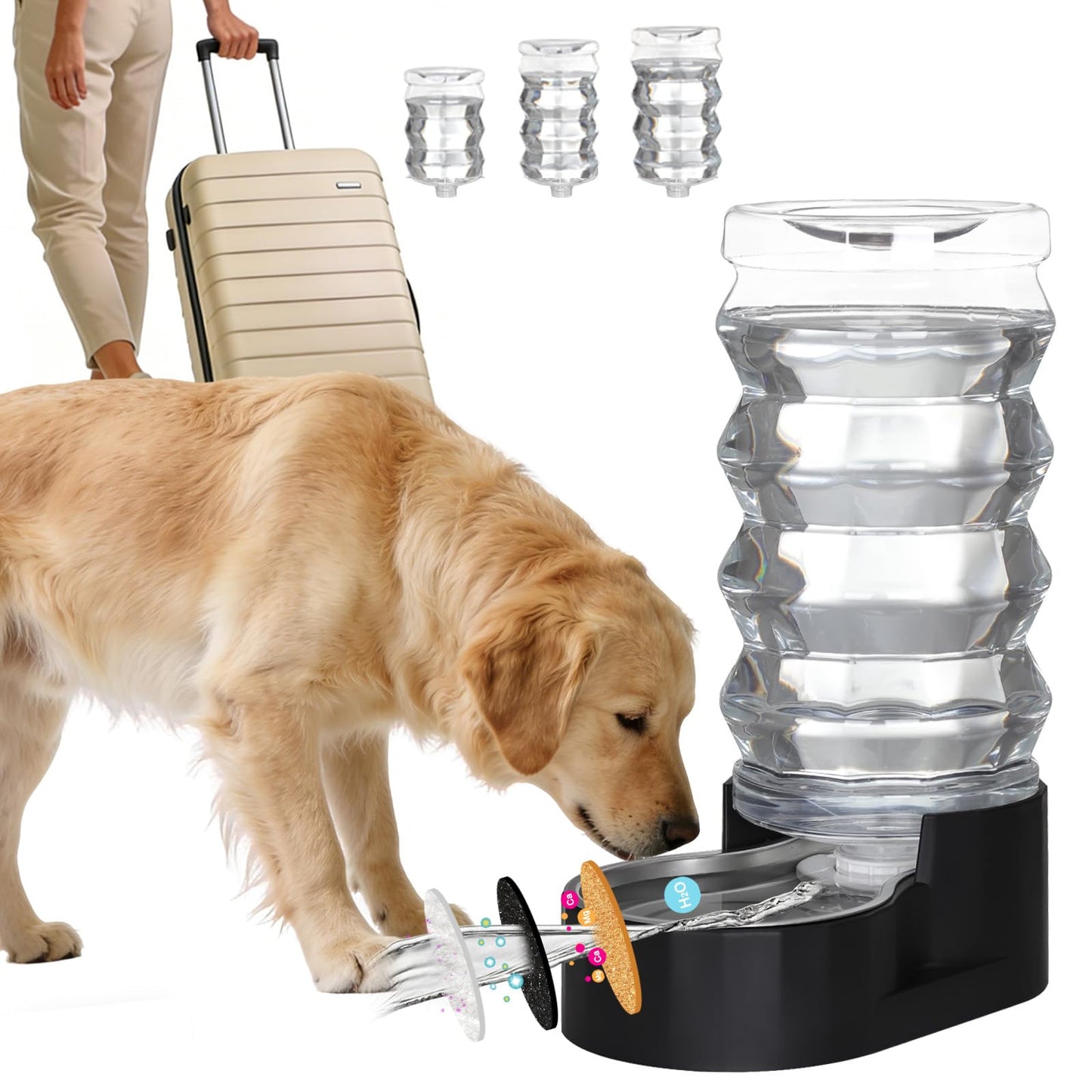 RIZZARI Dog Water Dispenser: Stainless Steel Automatic Gravity Feeder