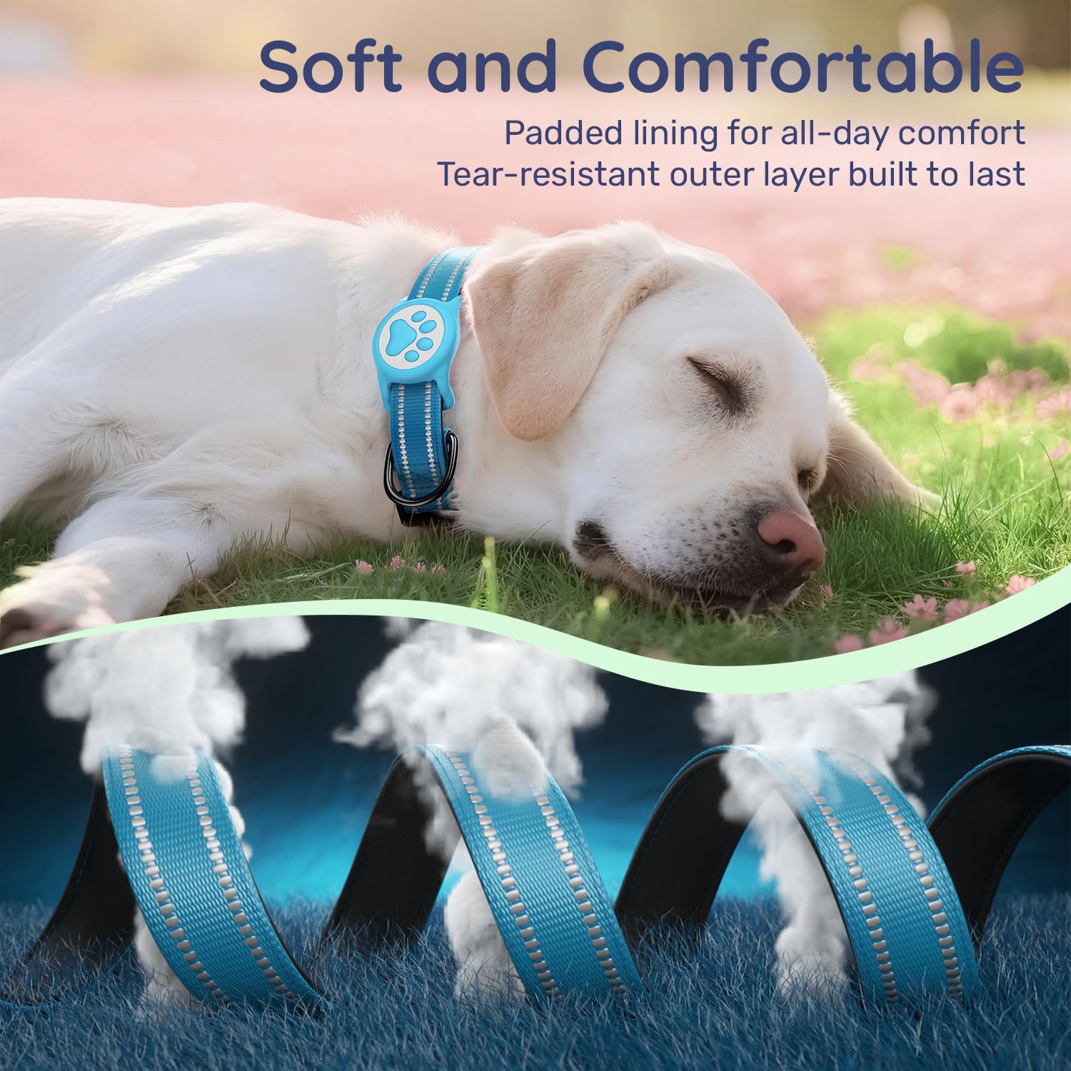 Airtag Dog Collar, Reflective Ultra-Durable Nylon Padded with Collar