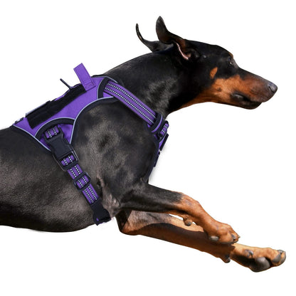 BUMBIN Tactical Dog Harness for Large Dogs No Pull, Famous TIK Harness
