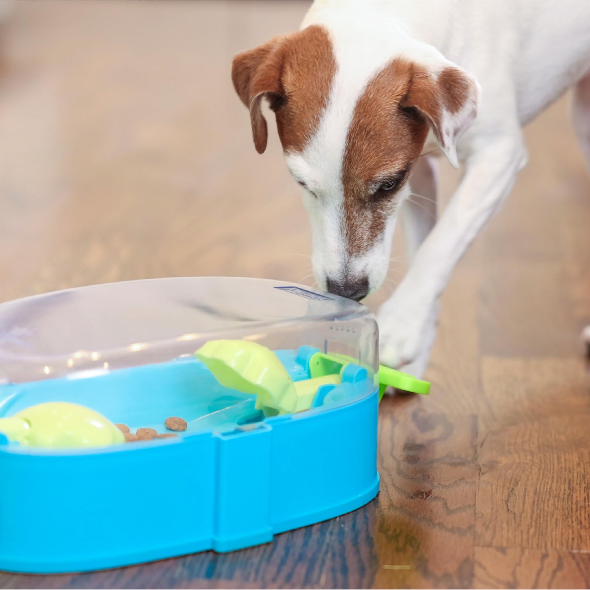 Outward Hound Nina Ottosson Paw N' Play Interactive Dog Treat Puzzle
