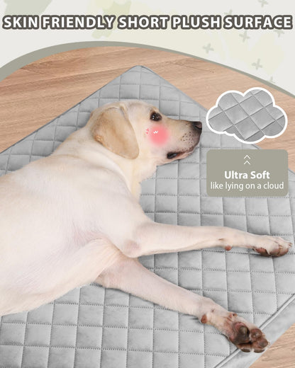 NUPIDA Orthopedic XL Dog Beds Large Sized Dog Waterproof Bed