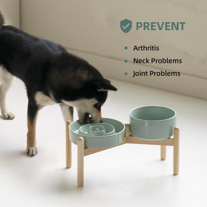 Havniva Ceramic 1.2 Cup Raised Slow Feeder Dog Bowl Set, Elevated Set