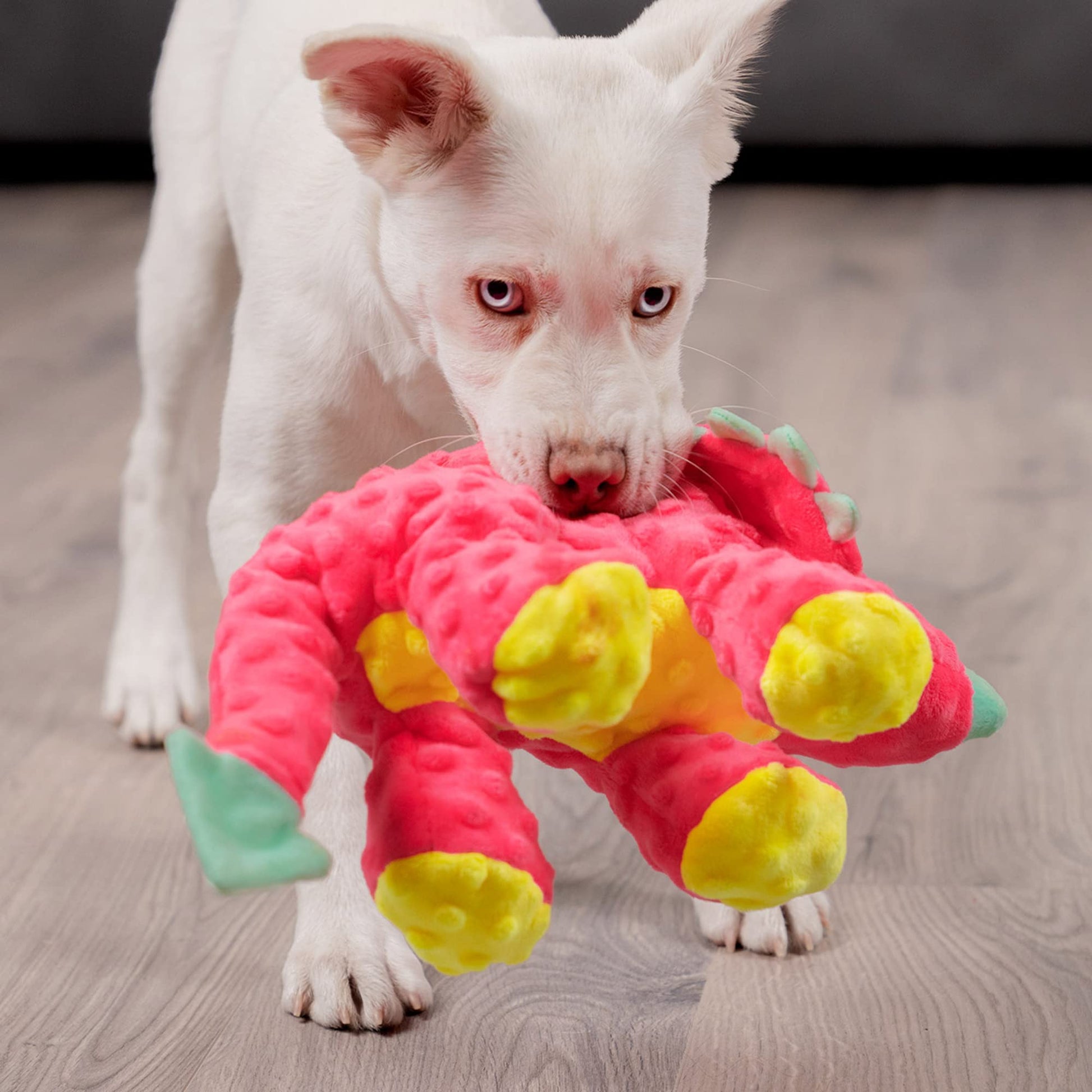 goDog Dinos Frills Squeaky Plush Dog Toy, Chew Guard Technology Plush