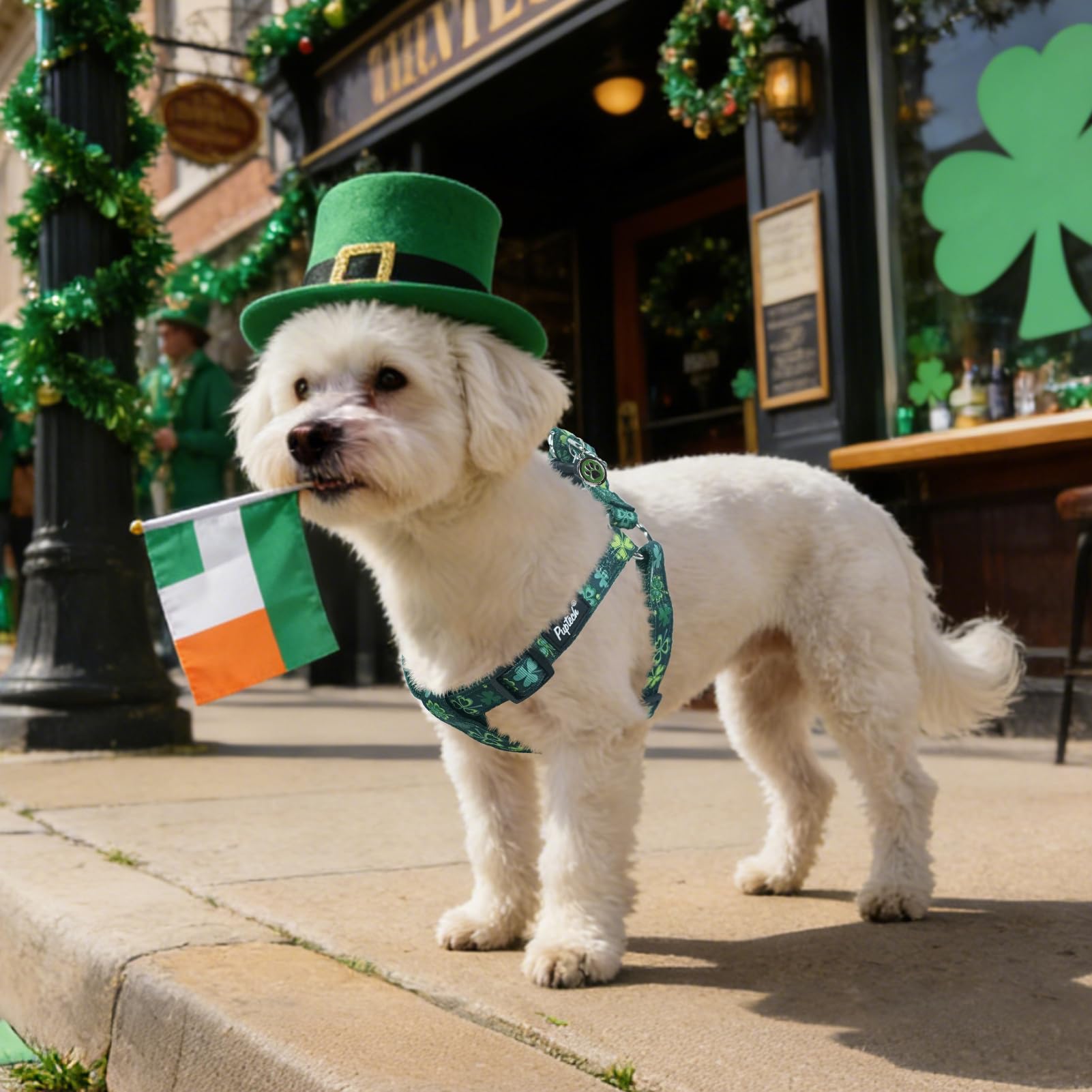 PUPTECK No Pull St. Patrick Dog Harness Soft Adjustable Basic Harness