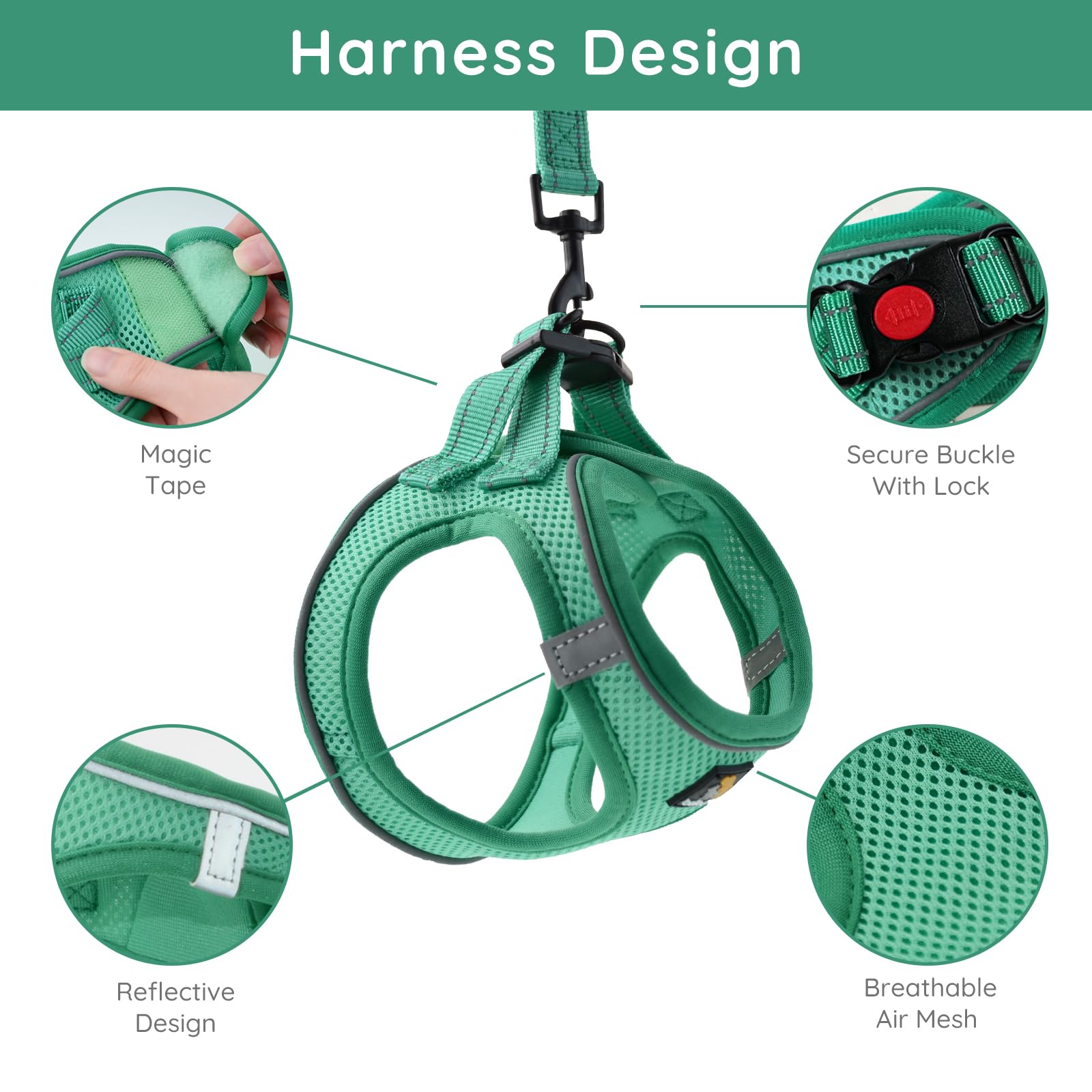 BELLA PAL Small Emerald Dog Harness with Leash Set, No Pull, Step Set