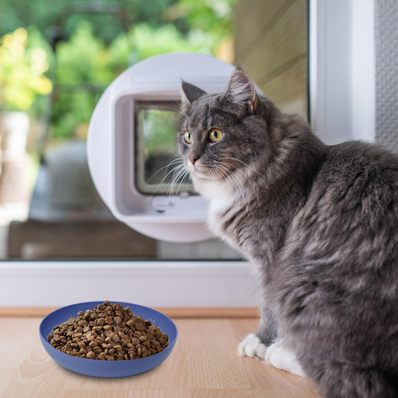 [16 Pack] Cat Dishes Whisker Friendly, Shallow Wide Pet Food and Bowl