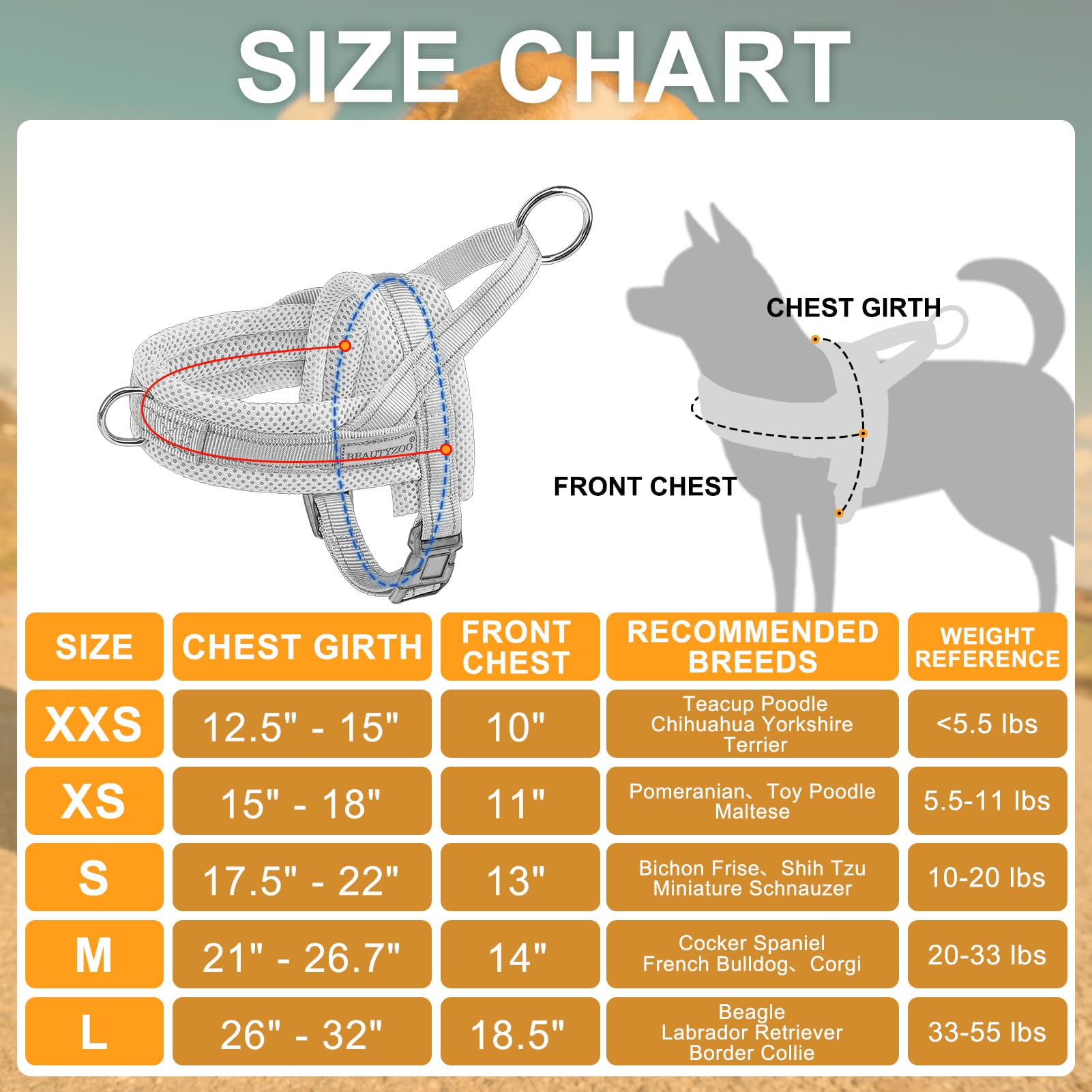 BEAUTYZOO Dog Harness for Small Dogs, No Pull Dog Harness and Leash
