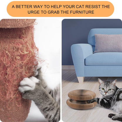 Magic Organ Cat Scratching Board, Interactive Scratch Pad with a Pad