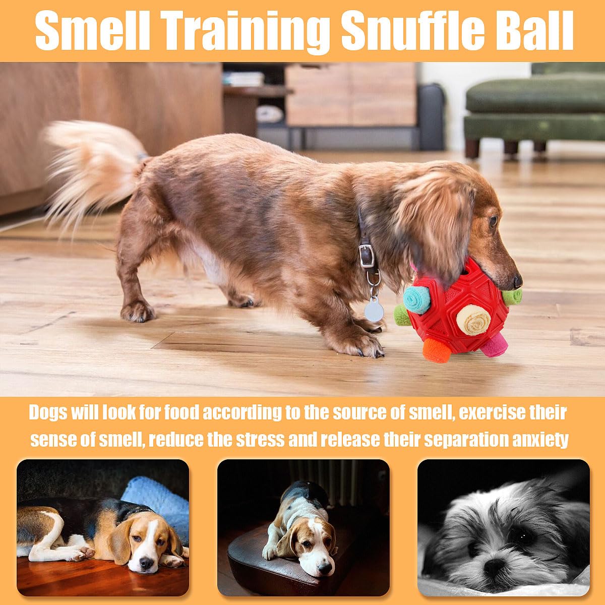 Petration Dog Snuffle Ball-Interactive Puzzle Dog Toys Encourage Chew