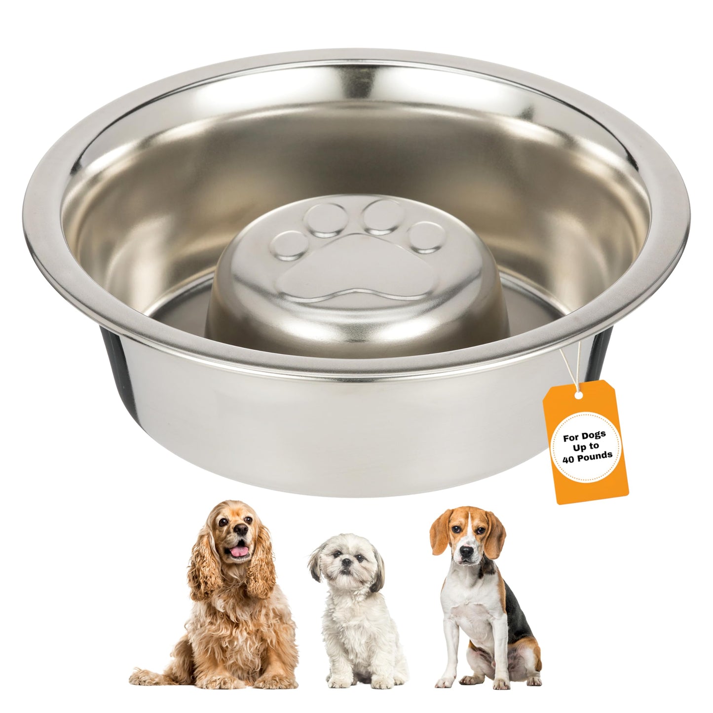 Neater Pet Brands Stainless Steel Slow Feed Dog Bowl for Fast Bowl