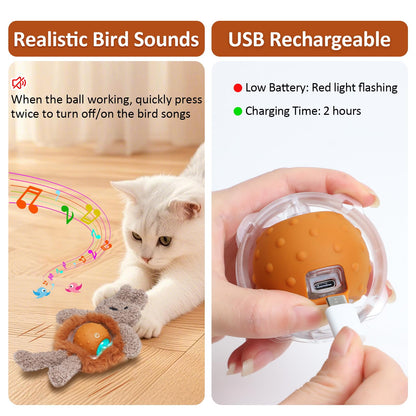 Sofolor Interactive Cat Toys for Indoor Cats, Electric Cat Mouse Toy