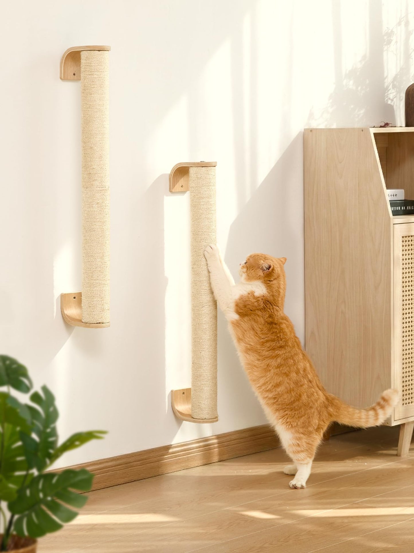 FUKUMARU Cat Wall Scratcher, 60" Tall Wall Mounted Kitten Tree