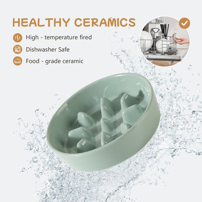 Havniva Ceramic 0.9 Cup Raised Slow Feeder Dog Bowl Set, Elevated Bowl