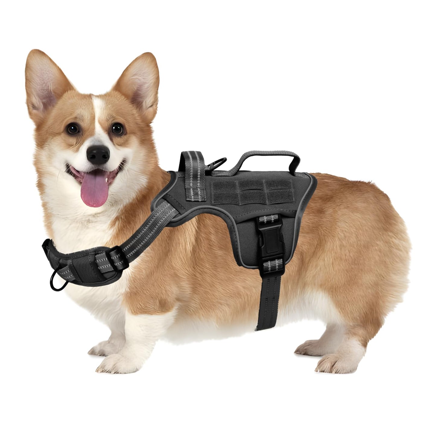 Small Dog Harness, Heavy Duty Tactical No Pull Dog Harness, No Harness