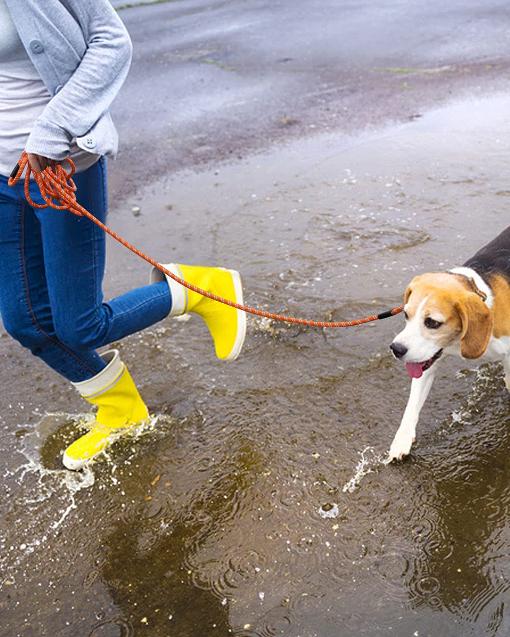 Extra Long Dog Leash for Dog Training, Reflective Threads Check Lead