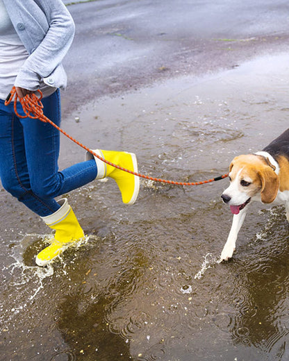 Long Rope Leash for Dog Training Reflective Threads Check Cord Lead