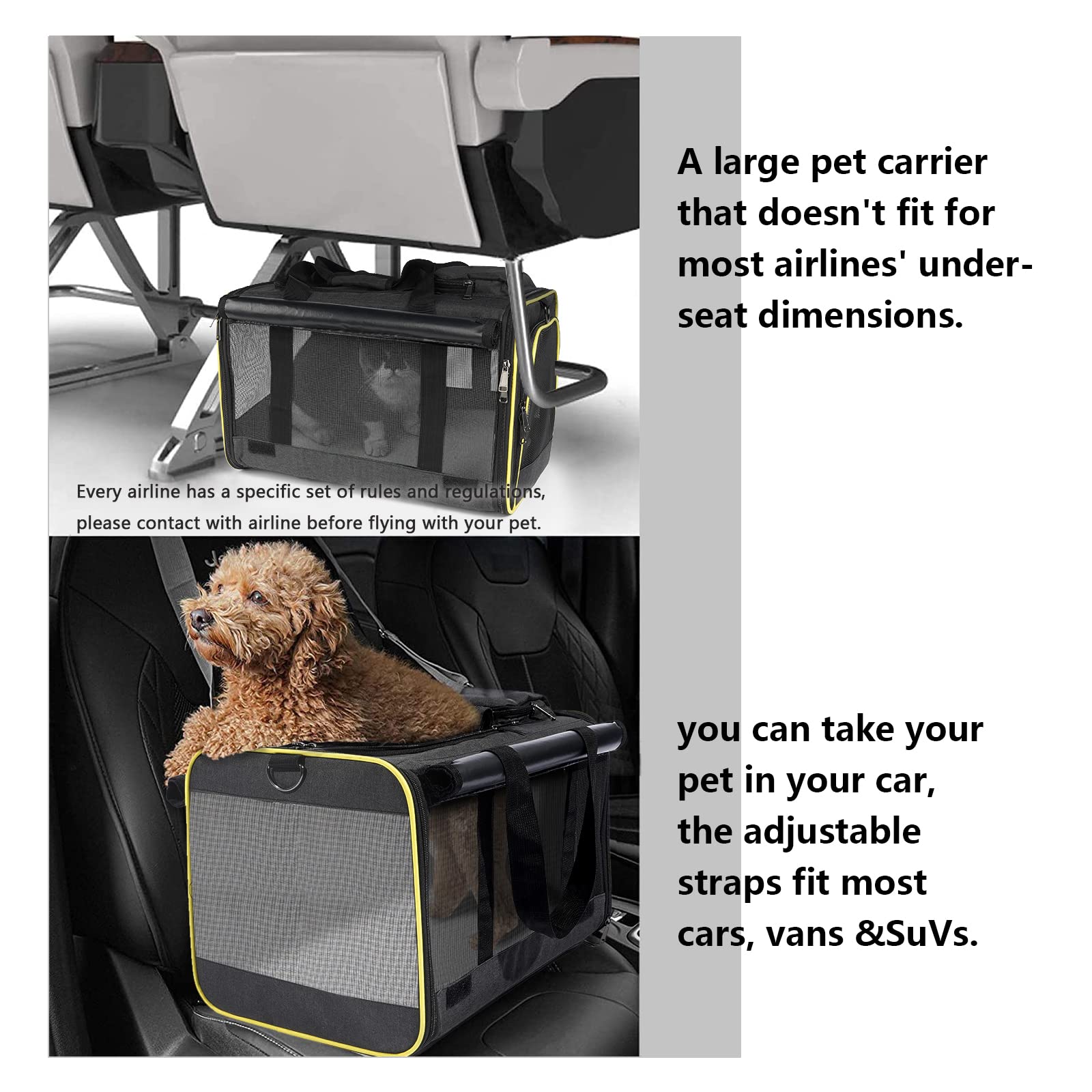 GAPZER Cat Carriers for Large Cats + Soft Pet Carrier