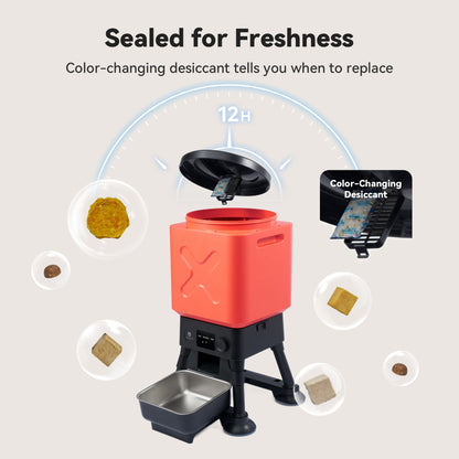 Automatic Dog Feeder for Large Breed Extra Large Capacity Bowl