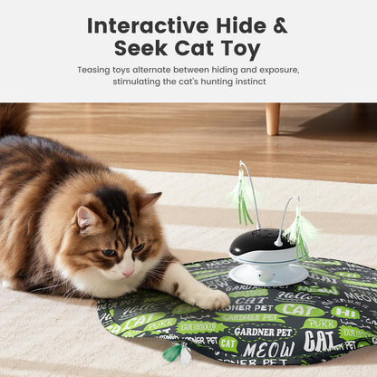 Interactive 5in1 Cat Toys Chargeable,Moving Feather,laser Toys