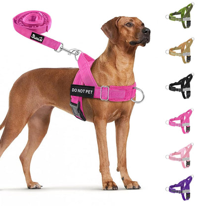SlowTon No Pull Dog Harness Heavy Duty Dog Harness and Leash Set