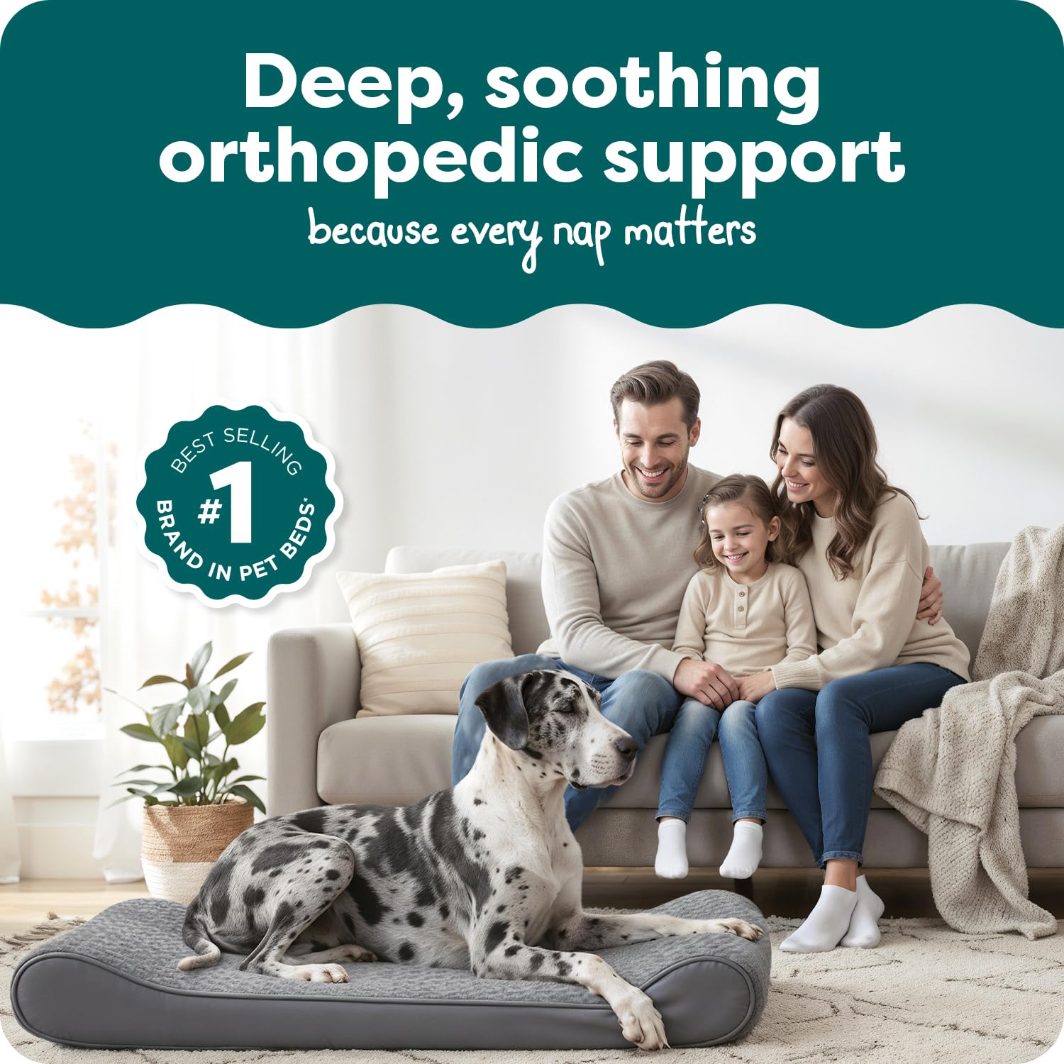 Furhaven Orthopedic Dog Bed for Large Dogs w/ Removable Washable Bed