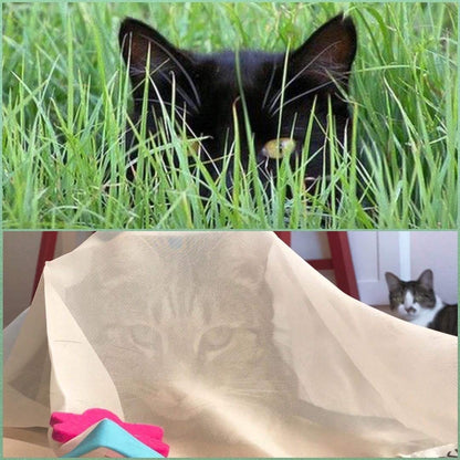 Sheer Fun For Cats Toy, Renews Old Toys, Engages Hunting Ball