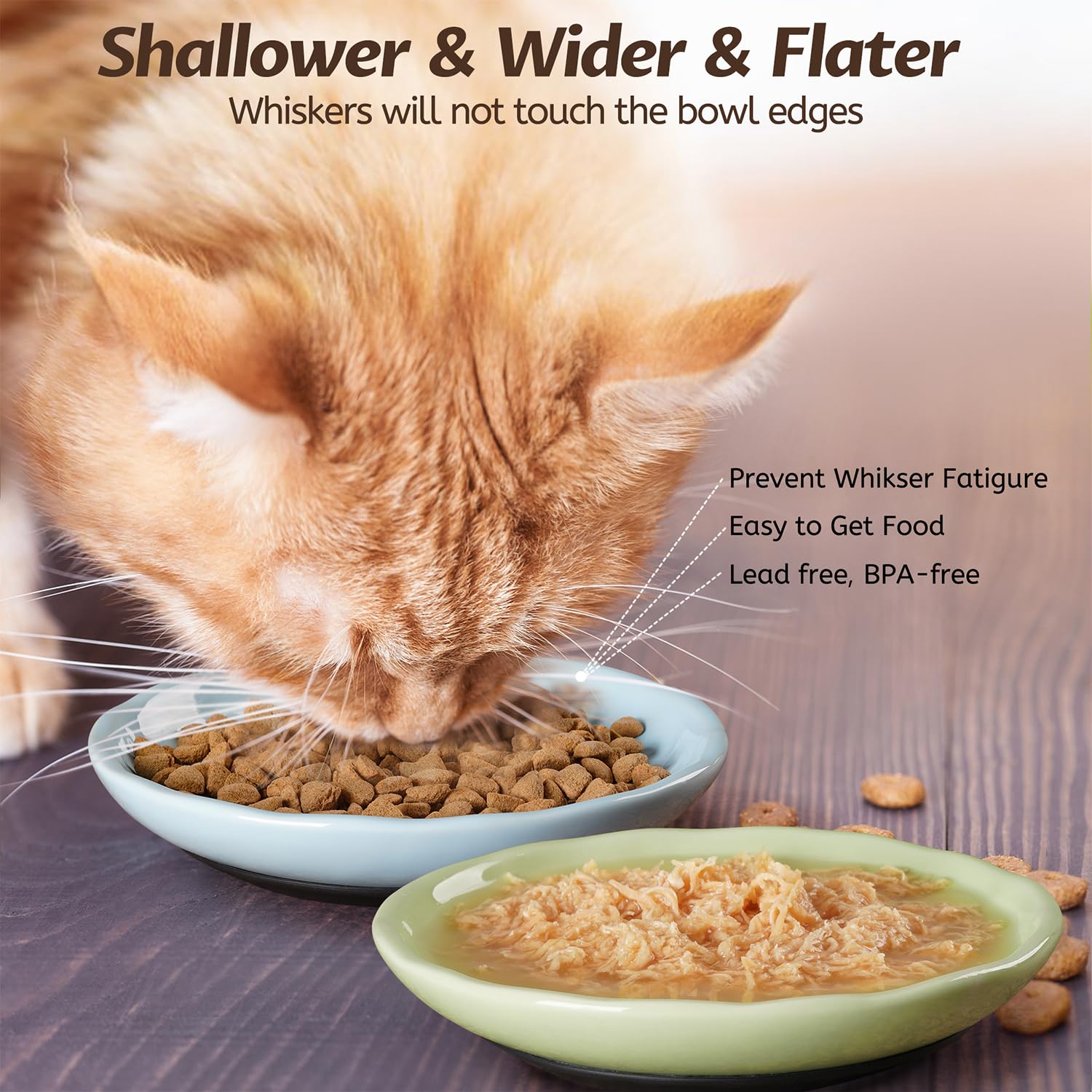 WROSWT Non-Slip Cat Food Bowl,Healthy Ceramic Cats Bowls with Set