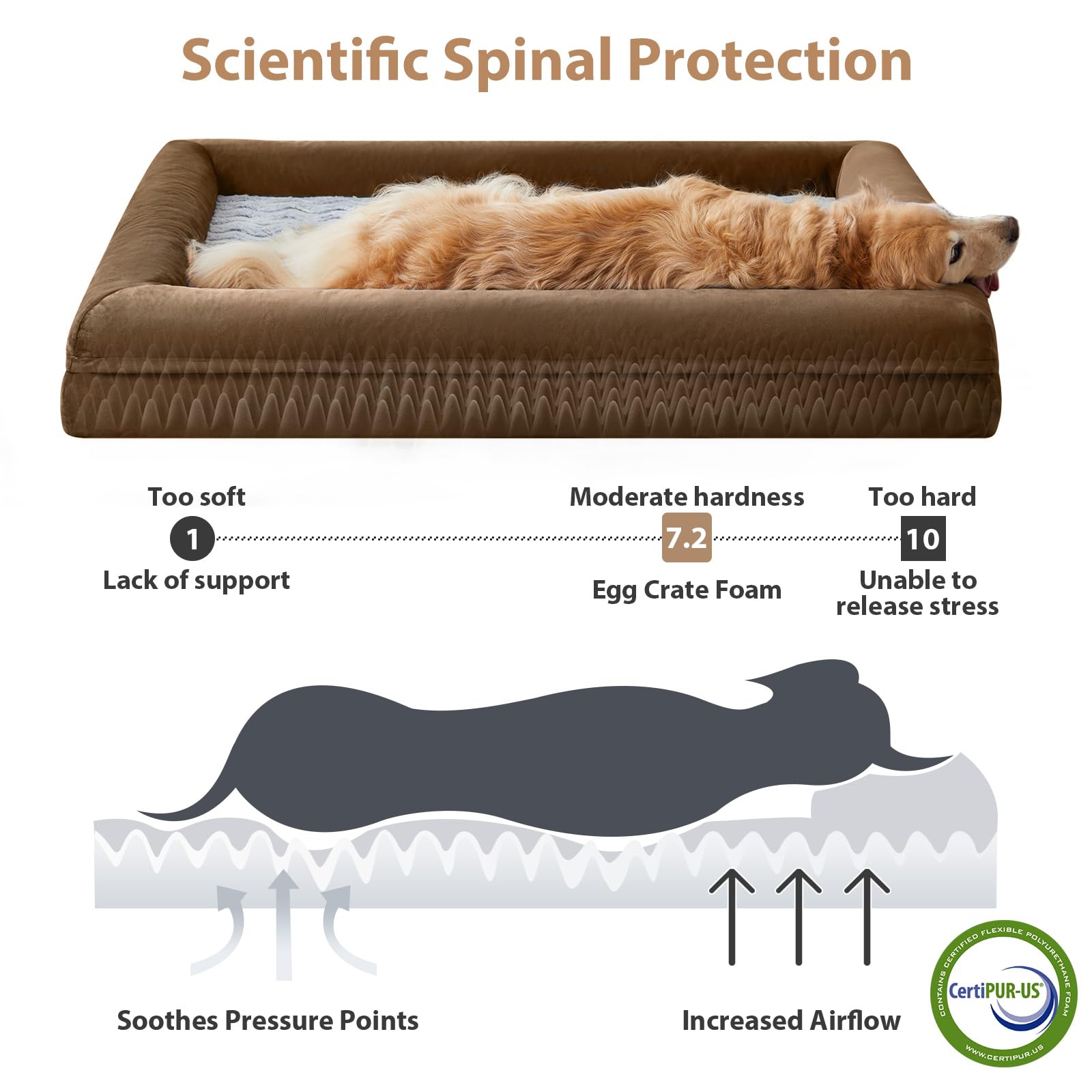 WNPETHOME Giant Dog Bed, Washable Dog Couch with Removable Bed