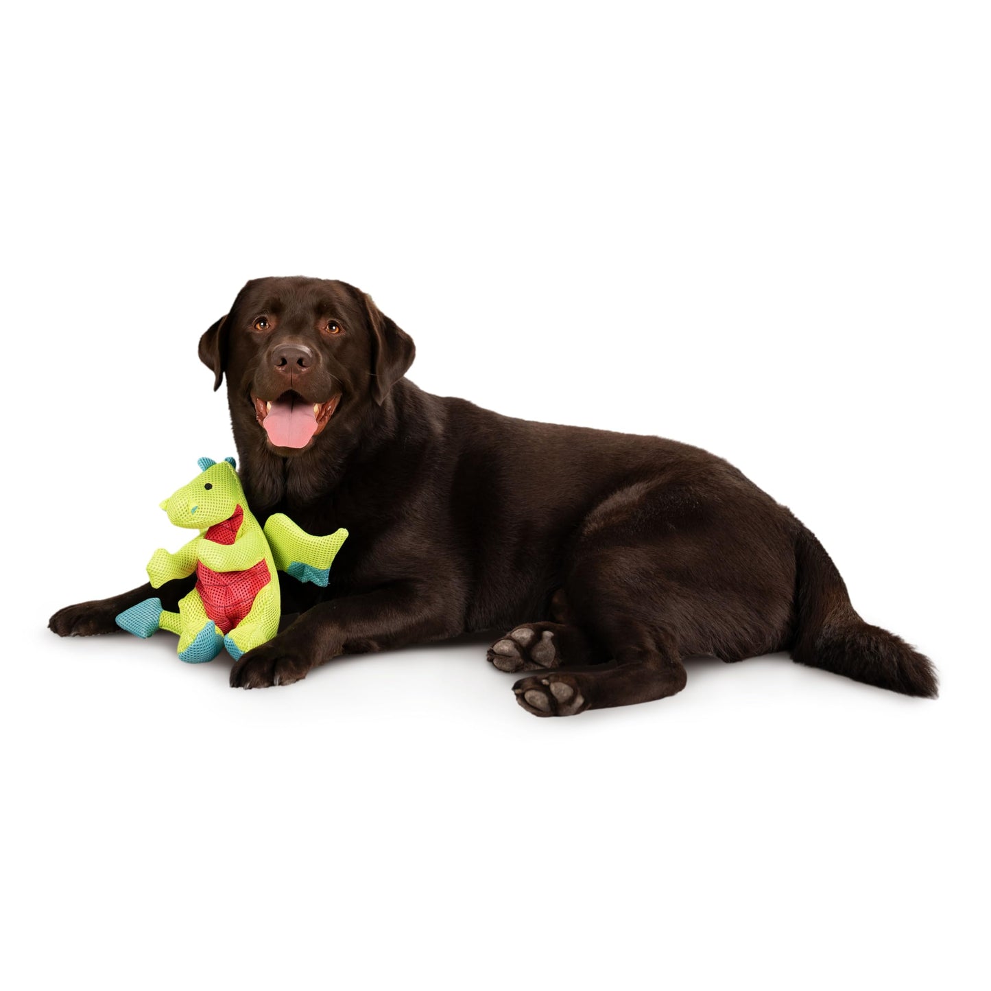 goDog Dragons Squeaky Plush Dog Toy with Double Chew Guard Plush